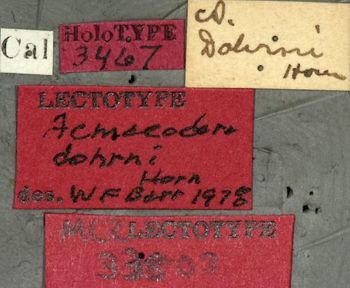 Media type: image;   Entomology 33803 Aspect: labels